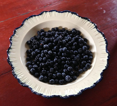 Blueberries