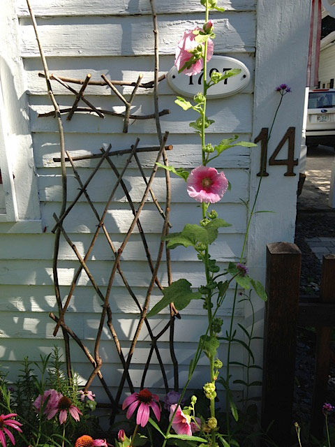 Summer Trellis