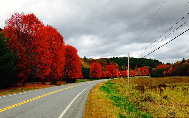 Fall in New Hampshire