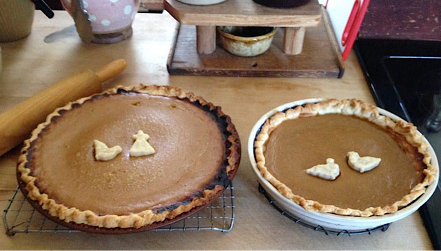 Kathy Schoemer - Pumpkin Pies