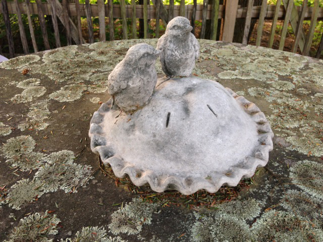 Cement Pie with Birds