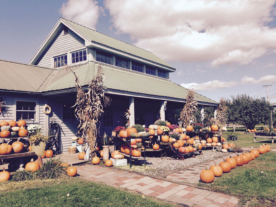 Pumpkin Stand