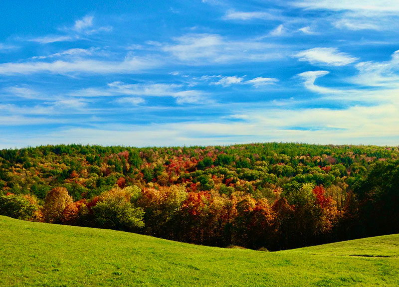 Fall Day