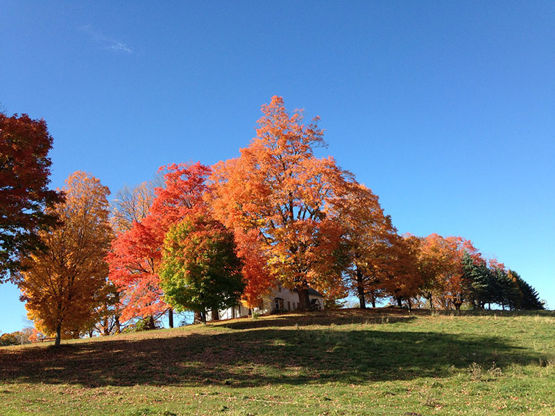 Fall Day